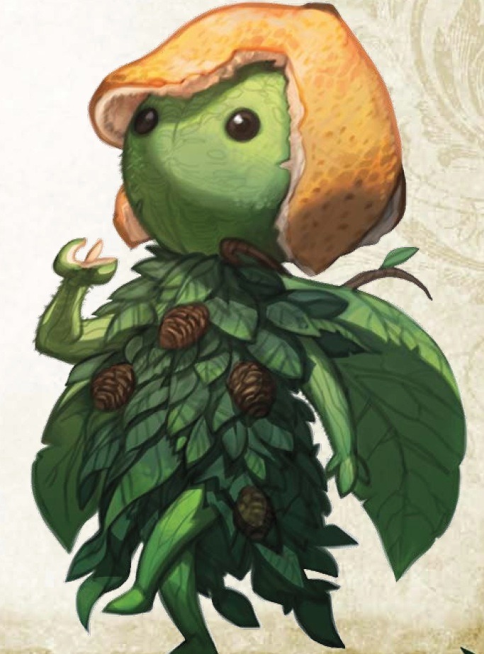 Citrus Weaver.jpg